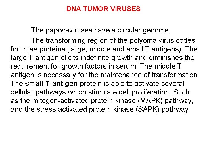DNA TUMOR VIRUSES The papovaviruses have a circular genome. The transforming region of the