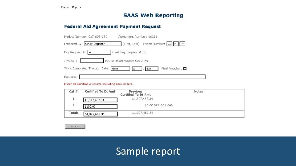 Sample report 