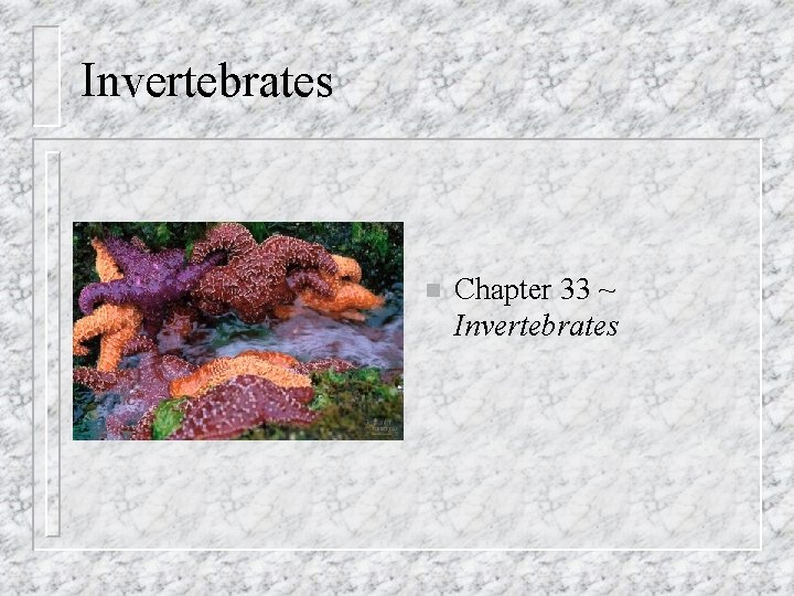 Invertebrates n Chapter 33 ~ Invertebrates 