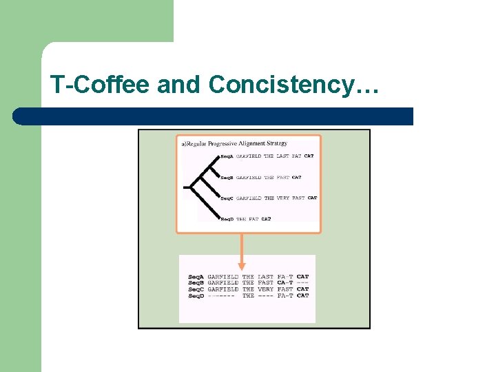 T-Coffee and Concistency… 