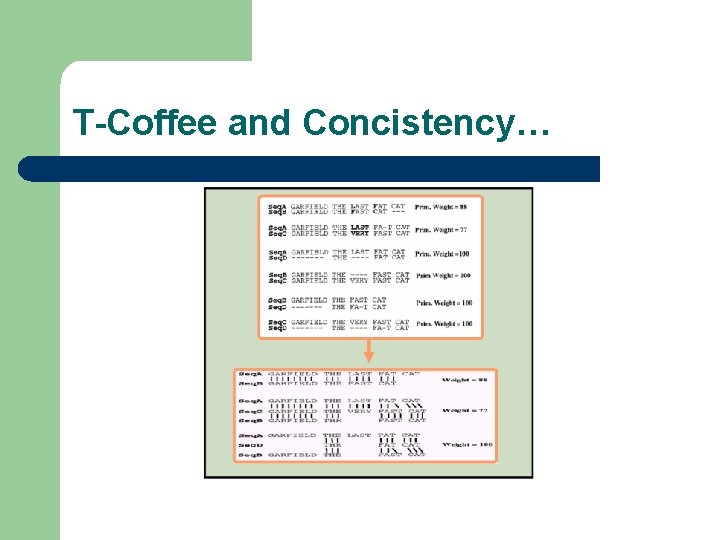 T-Coffee and Concistency… 