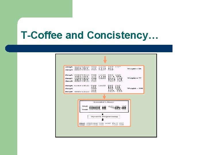 T-Coffee and Concistency… 