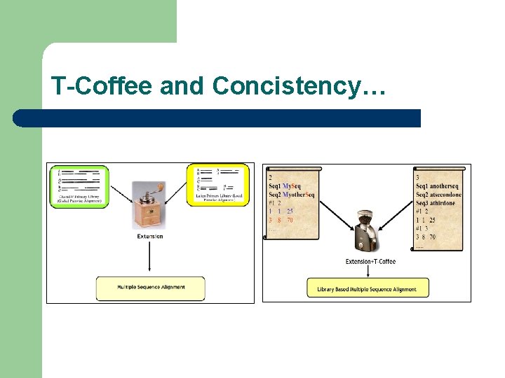 T-Coffee and Concistency… 