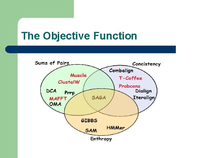 The Objective Function 