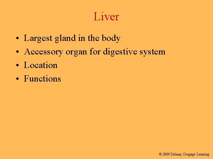 Liver • • Largest gland in the body Accessory organ for digestive system Location