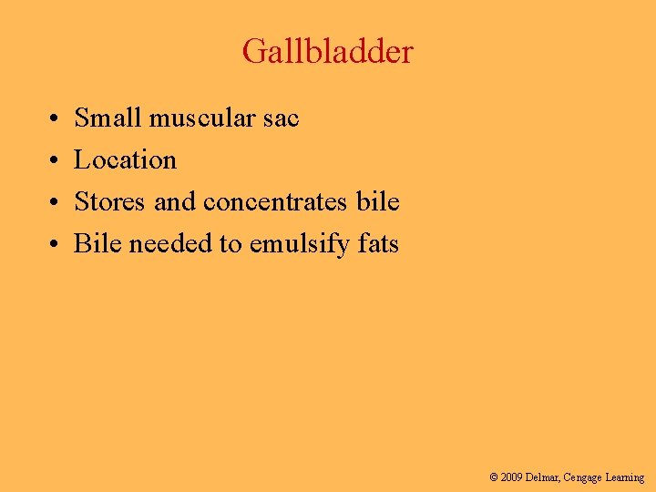 Gallbladder • • Small muscular sac Location Stores and concentrates bile Bile needed to