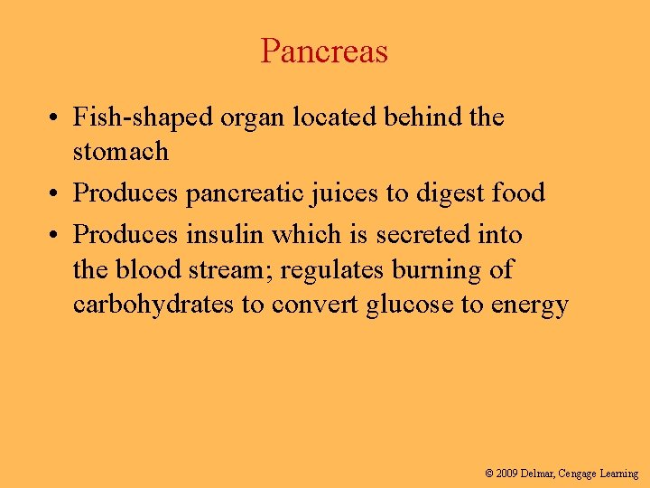 Pancreas • Fish-shaped organ located behind the stomach • Produces pancreatic juices to digest