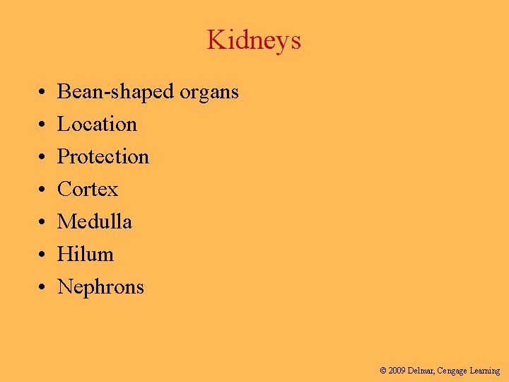 Kidneys • • Bean-shaped organs Location Protection Cortex Medulla Hilum Nephrons © 2009 Delmar,