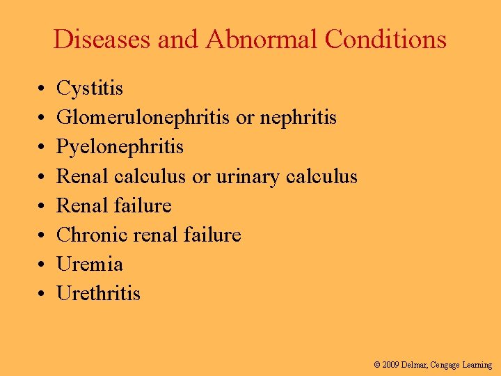 Diseases and Abnormal Conditions • • Cystitis Glomerulonephritis or nephritis Pyelonephritis Renal calculus or