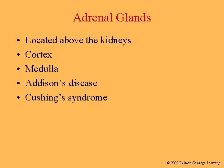 Adrenal Glands • • • Located above the kidneys Cortex Medulla Addison’s disease Cushing’s