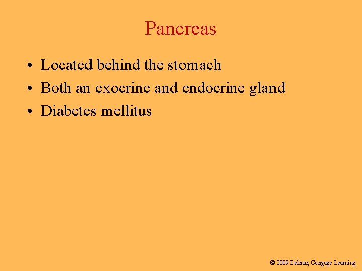 Pancreas • Located behind the stomach • Both an exocrine and endocrine gland •
