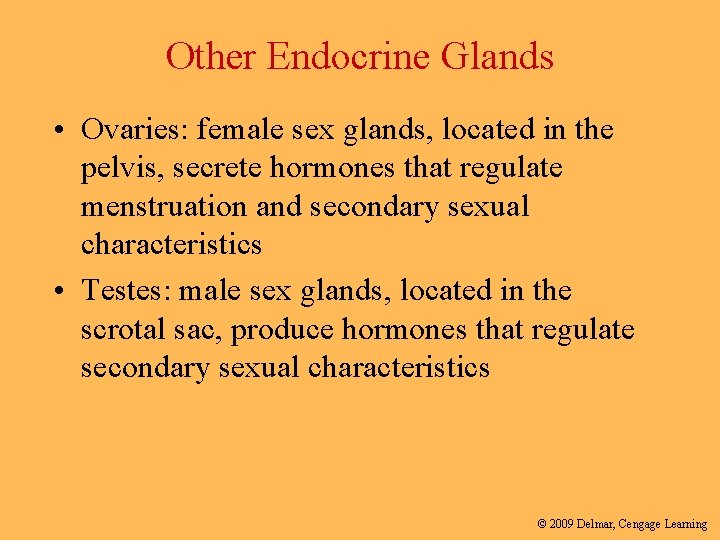 Other Endocrine Glands • Ovaries: female sex glands, located in the pelvis, secrete hormones
