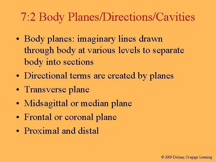 7: 2 Body Planes/Directions/Cavities • Body planes: imaginary lines drawn through body at various