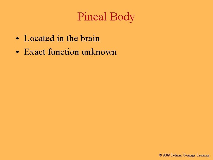 Pineal Body • Located in the brain • Exact function unknown © 2009 Delmar,