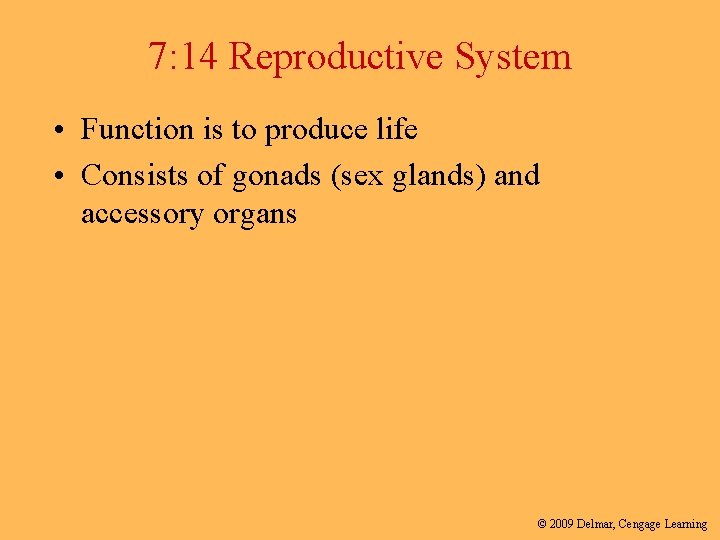 7: 14 Reproductive System • Function is to produce life • Consists of gonads
