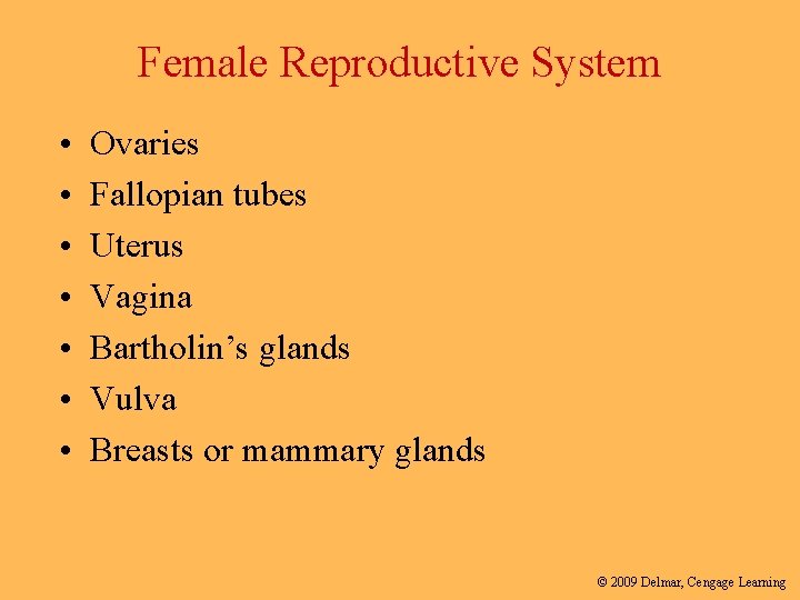 Female Reproductive System • • Ovaries Fallopian tubes Uterus Vagina Bartholin’s glands Vulva Breasts