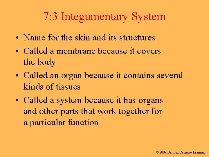 7: 3 Integumentary System • Name for the skin and its structures • Called