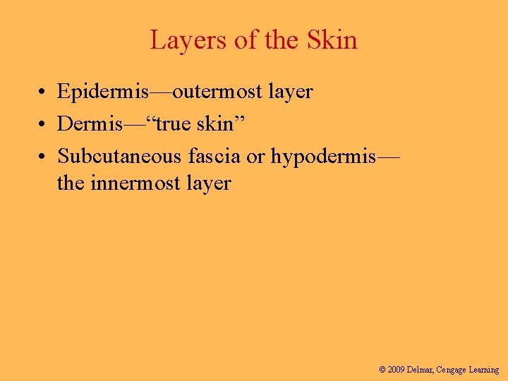 Layers of the Skin • Epidermis—outermost layer • Dermis—“true skin” • Subcutaneous fascia or