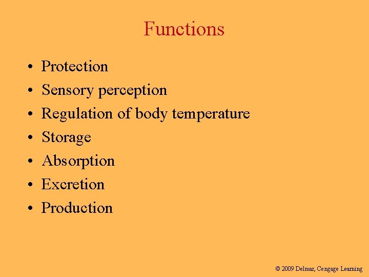 Functions • • Protection Sensory perception Regulation of body temperature Storage Absorption Excretion Production
