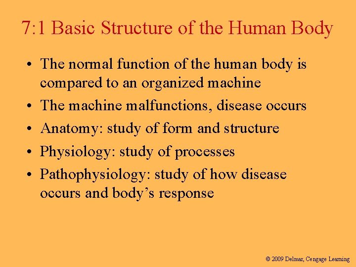 7: 1 Basic Structure of the Human Body • The normal function of the