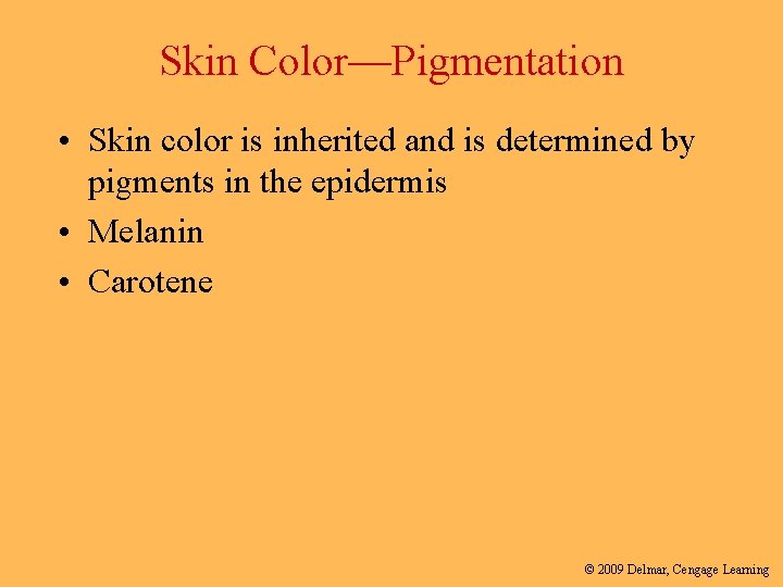 Skin Color—Pigmentation • Skin color is inherited and is determined by pigments in the