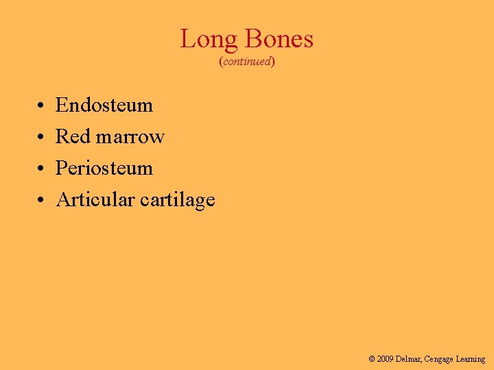 Long Bones (continued) • • Endosteum Red marrow Periosteum Articular cartilage © 2009 Delmar,
