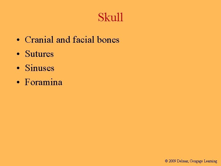 Skull • • Cranial and facial bones Sutures Sinuses Foramina © 2009 Delmar, Cengage