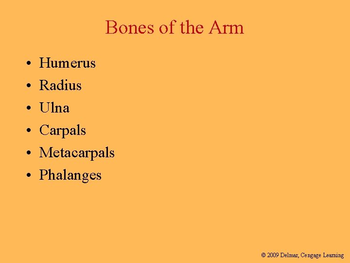 Bones of the Arm • • • Humerus Radius Ulna Carpals Metacarpals Phalanges ©