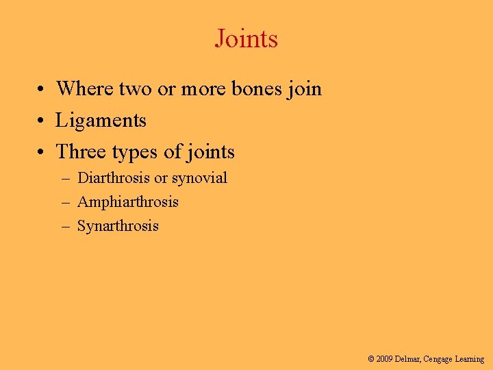 Joints • Where two or more bones join • Ligaments • Three types of