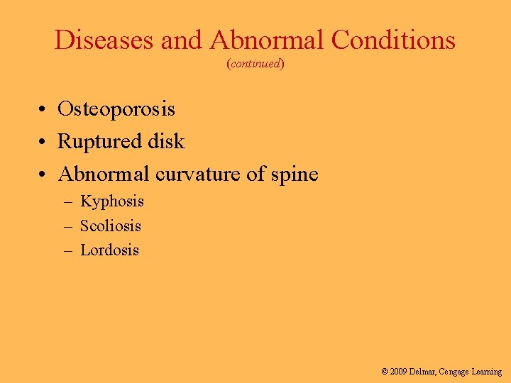Diseases and Abnormal Conditions (continued) • Osteoporosis • Ruptured disk • Abnormal curvature of