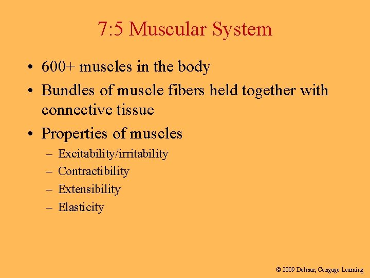 7: 5 Muscular System • 600+ muscles in the body • Bundles of muscle