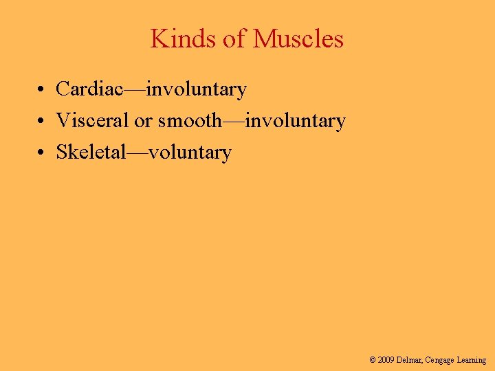 Kinds of Muscles • Cardiac—involuntary • Visceral or smooth—involuntary • Skeletal—voluntary © 2009 Delmar,
