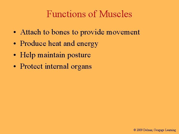 Functions of Muscles • • Attach to bones to provide movement Produce heat and