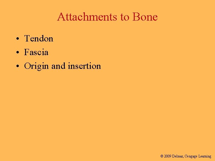 Attachments to Bone • Tendon • Fascia • Origin and insertion © 2009 Delmar,
