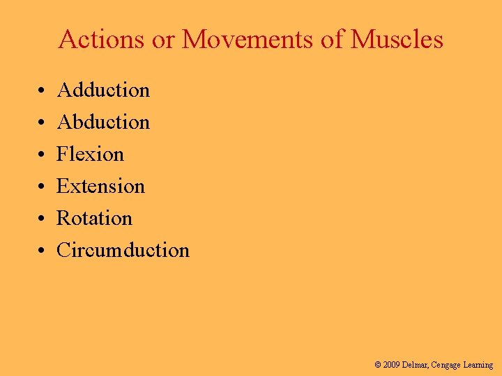Actions or Movements of Muscles • • • Adduction Abduction Flexion Extension Rotation Circumduction