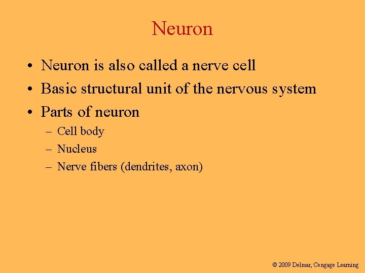 Neuron • Neuron is also called a nerve cell • Basic structural unit of