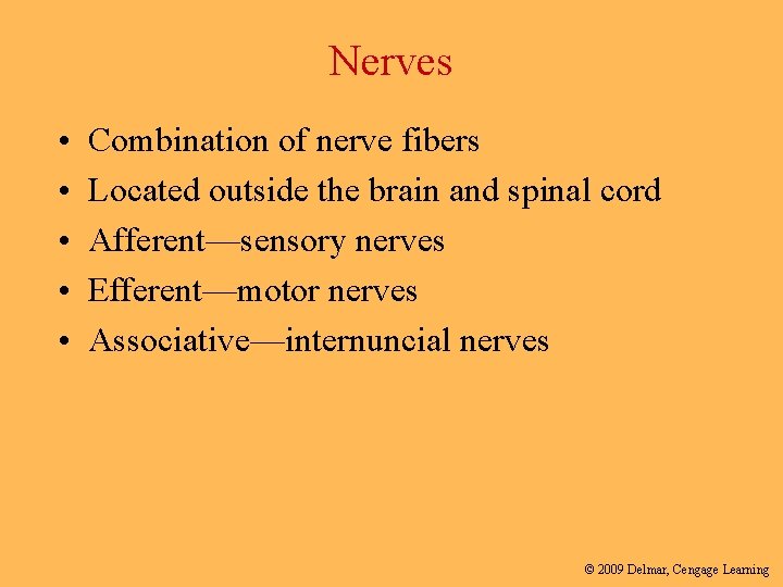 Nerves • • • Combination of nerve fibers Located outside the brain and spinal