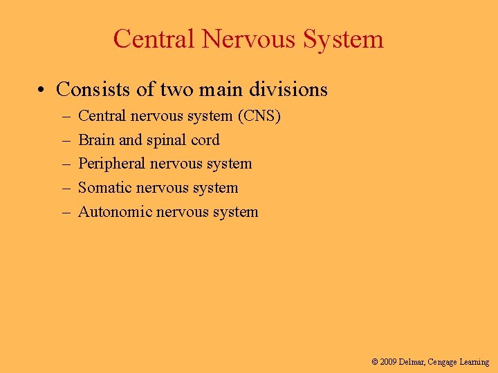 Central Nervous System • Consists of two main divisions – – – Central nervous