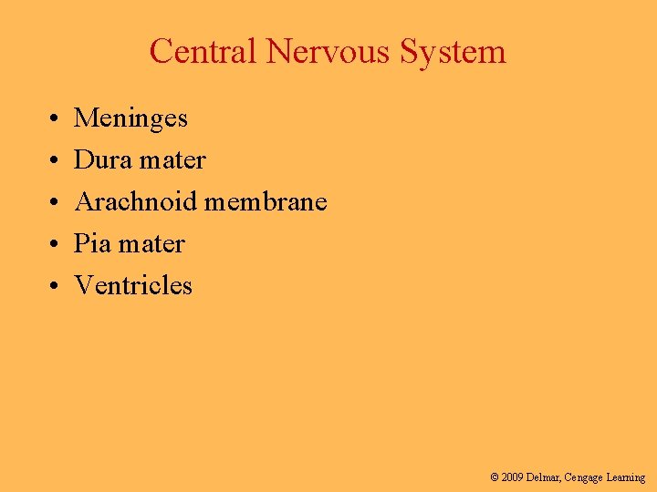 Central Nervous System • • • Meninges Dura mater Arachnoid membrane Pia mater Ventricles