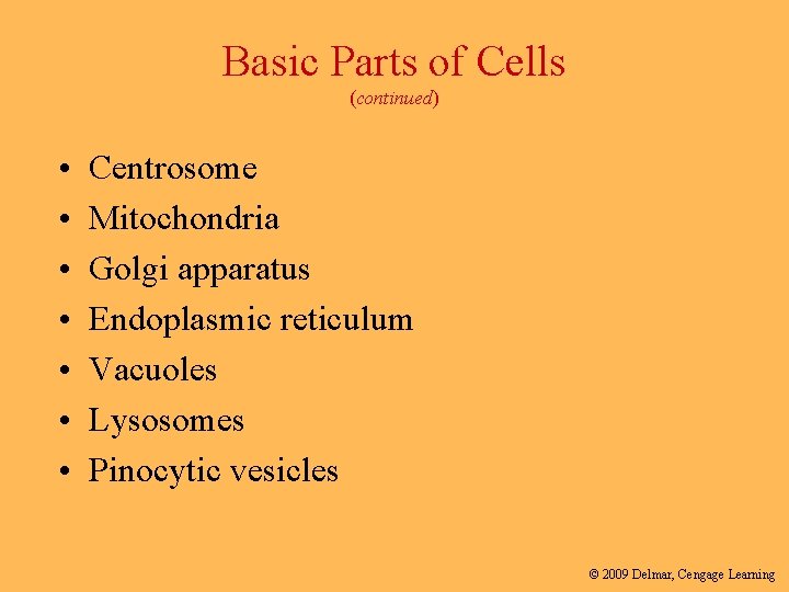 Basic Parts of Cells (continued) • • Centrosome Mitochondria Golgi apparatus Endoplasmic reticulum Vacuoles