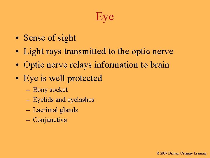 Eye • • Sense of sight Light rays transmitted to the optic nerve Optic