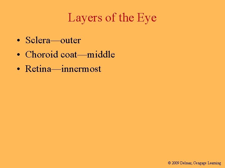 Layers of the Eye • Sclera—outer • Choroid coat—middle • Retina—innermost © 2009 Delmar,