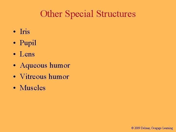 Other Special Structures • • • Iris Pupil Lens Aqueous humor Vitreous humor Muscles