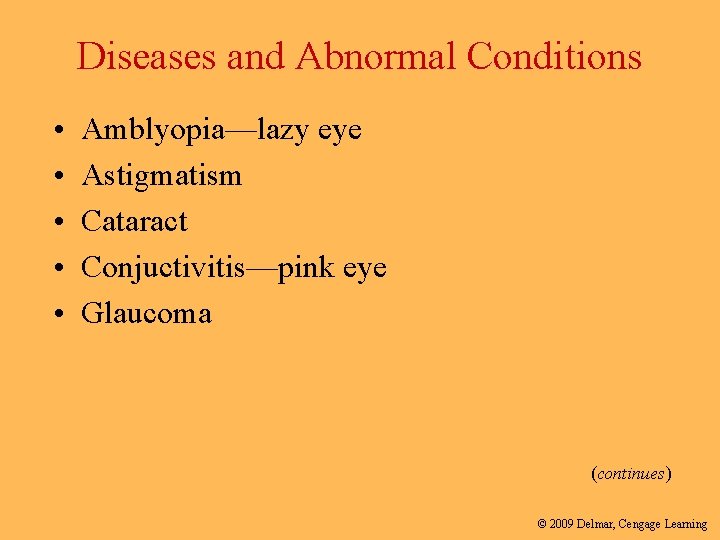 Diseases and Abnormal Conditions • • • Amblyopia—lazy eye Astigmatism Cataract Conjuctivitis—pink eye Glaucoma