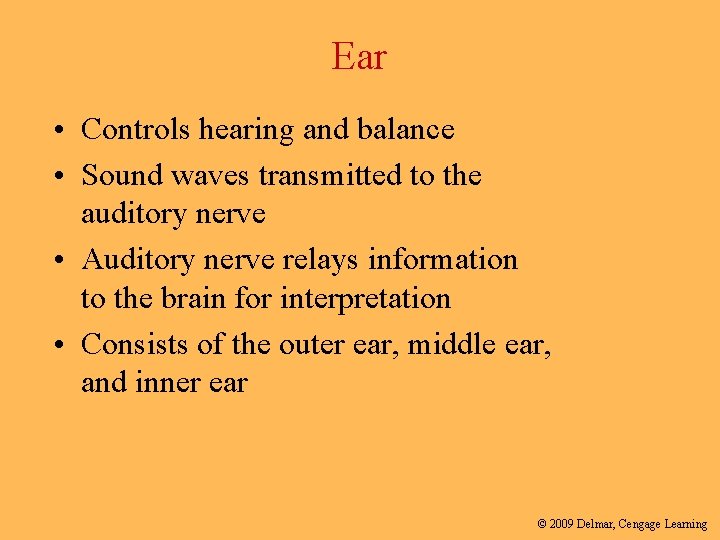 Ear • Controls hearing and balance • Sound waves transmitted to the auditory nerve