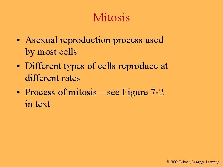 Mitosis • Asexual reproduction process used by most cells • Different types of cells