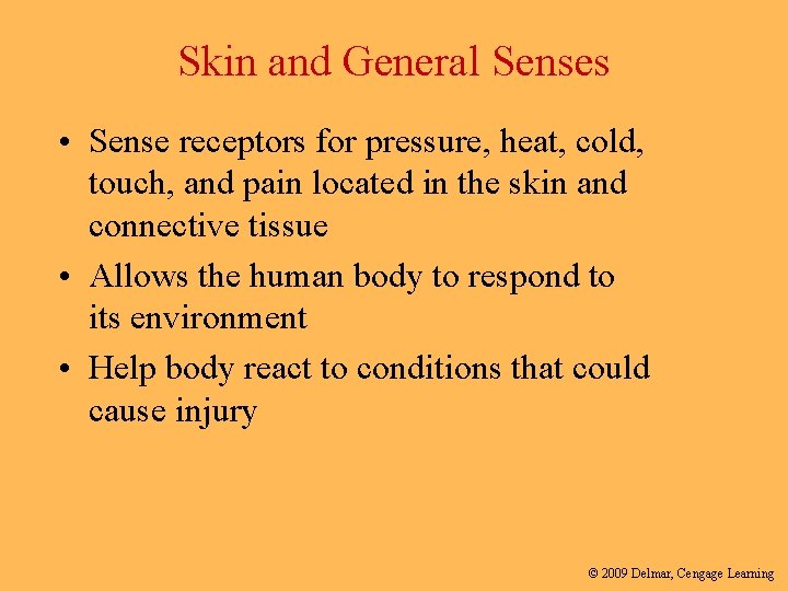 Skin and General Senses • Sense receptors for pressure, heat, cold, touch, and pain