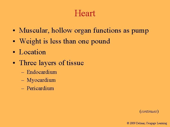 Heart • • Muscular, hollow organ functions as pump Weight is less than one