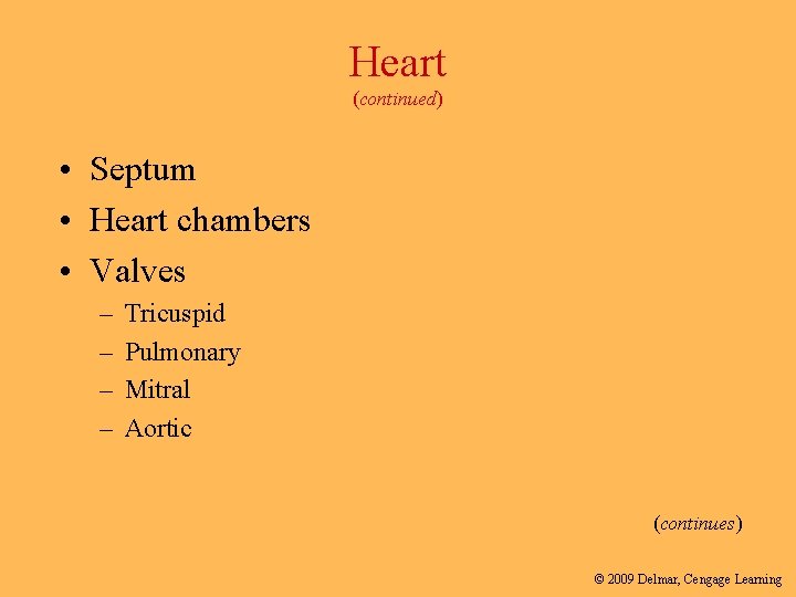 Heart (continued) • Septum • Heart chambers • Valves – – Tricuspid Pulmonary Mitral