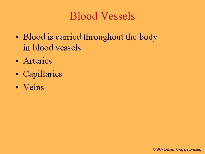 Blood Vessels • Blood is carried throughout the body in blood vessels • Arteries